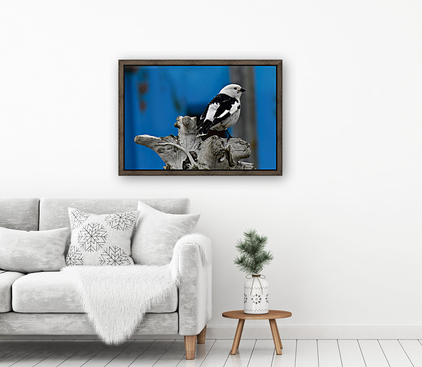 MaleSnowBunting Reproduction