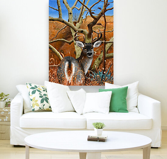 Coues Whitetail Deer Reproduction