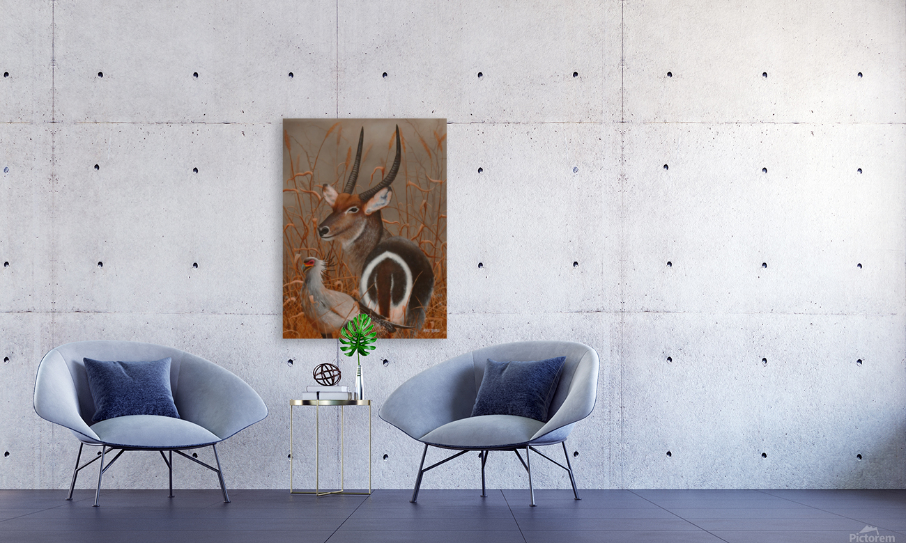 Waterbuck Reproduction