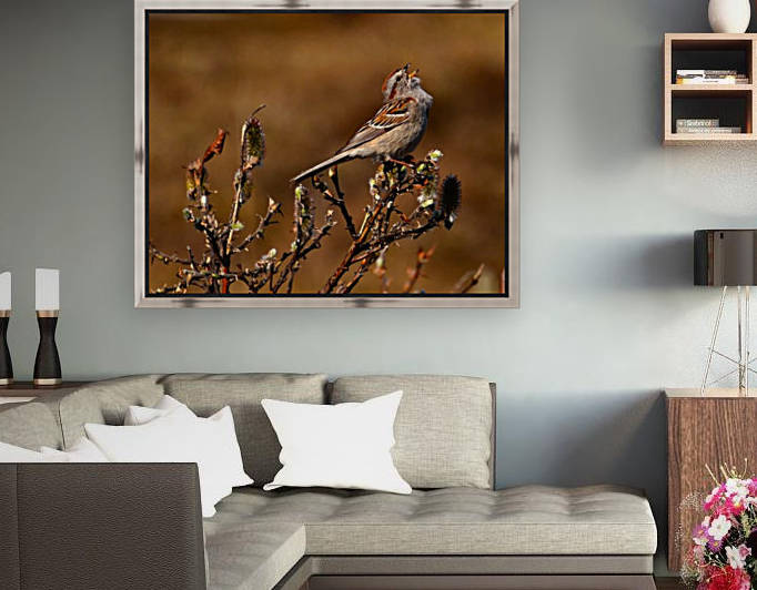 TreeSparrow by Mike Ross