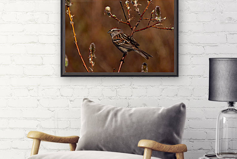 TreeSparrow by Mike Ross