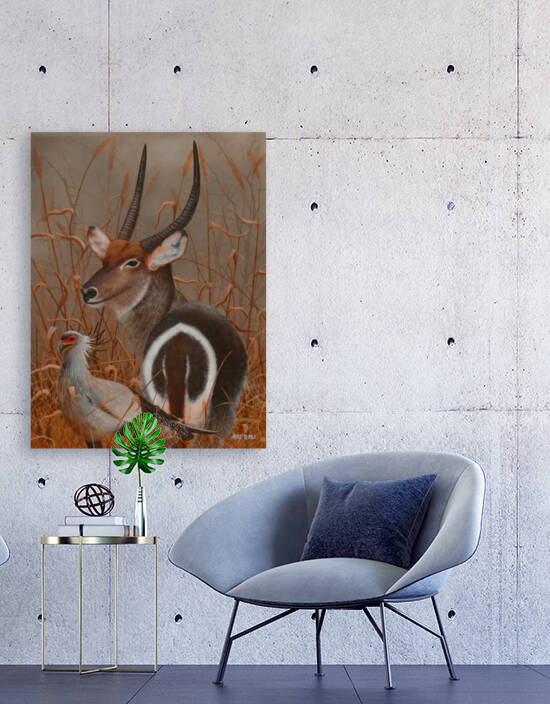 Waterbuck by Mike Ross
