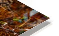 Smiths Longspur Impression metal HD