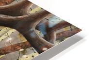Elk HD Metal print