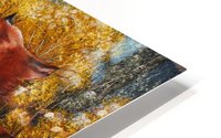 Wanta Race HD Metal print