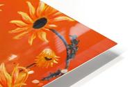Sunflowers & Prickly Poppies HD Metal print