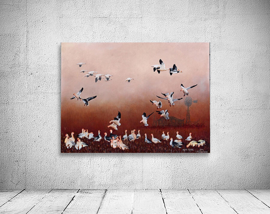 Snow Geese Wall Preview