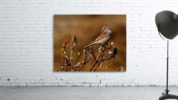 TreeSparrow Wall Preview