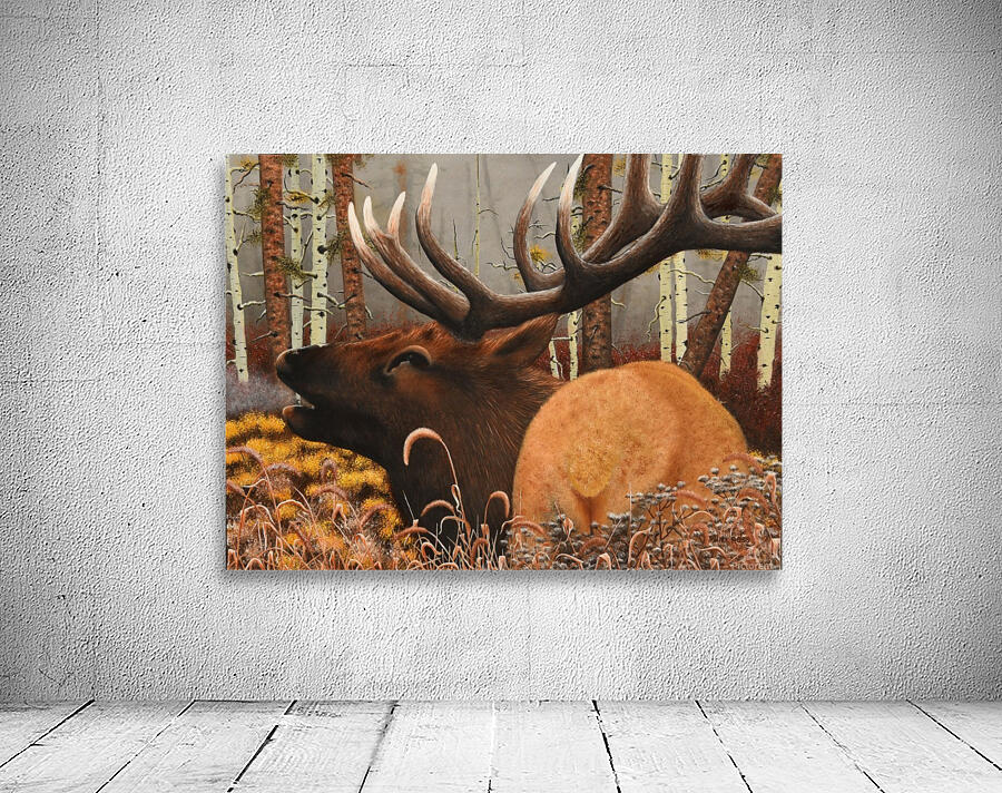 Elk Wall Preview