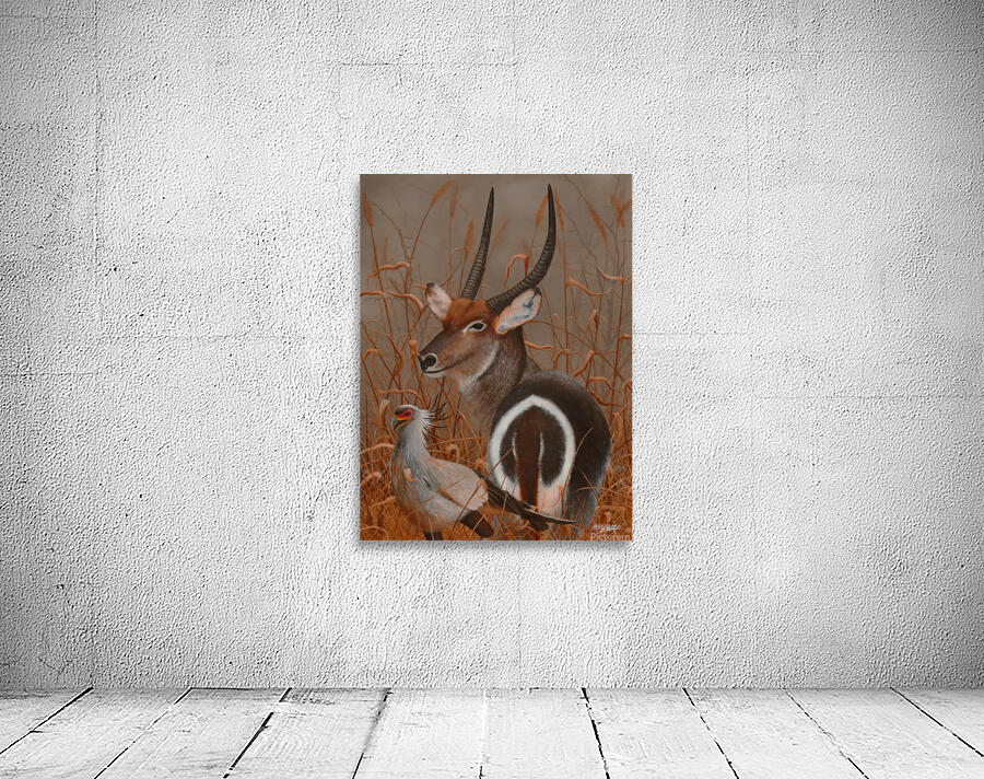 Waterbuck Wall Preview