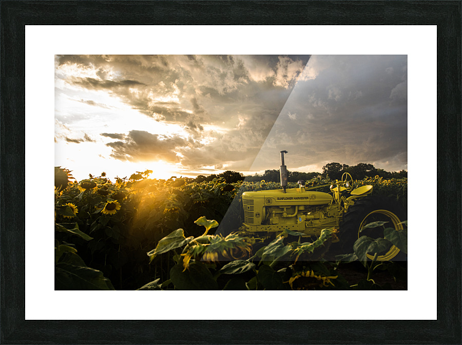 Harvester  Picture Frame print