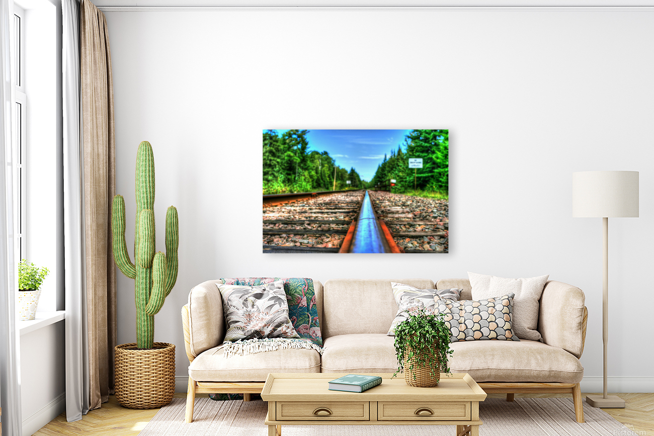 train tracks  Reproduction