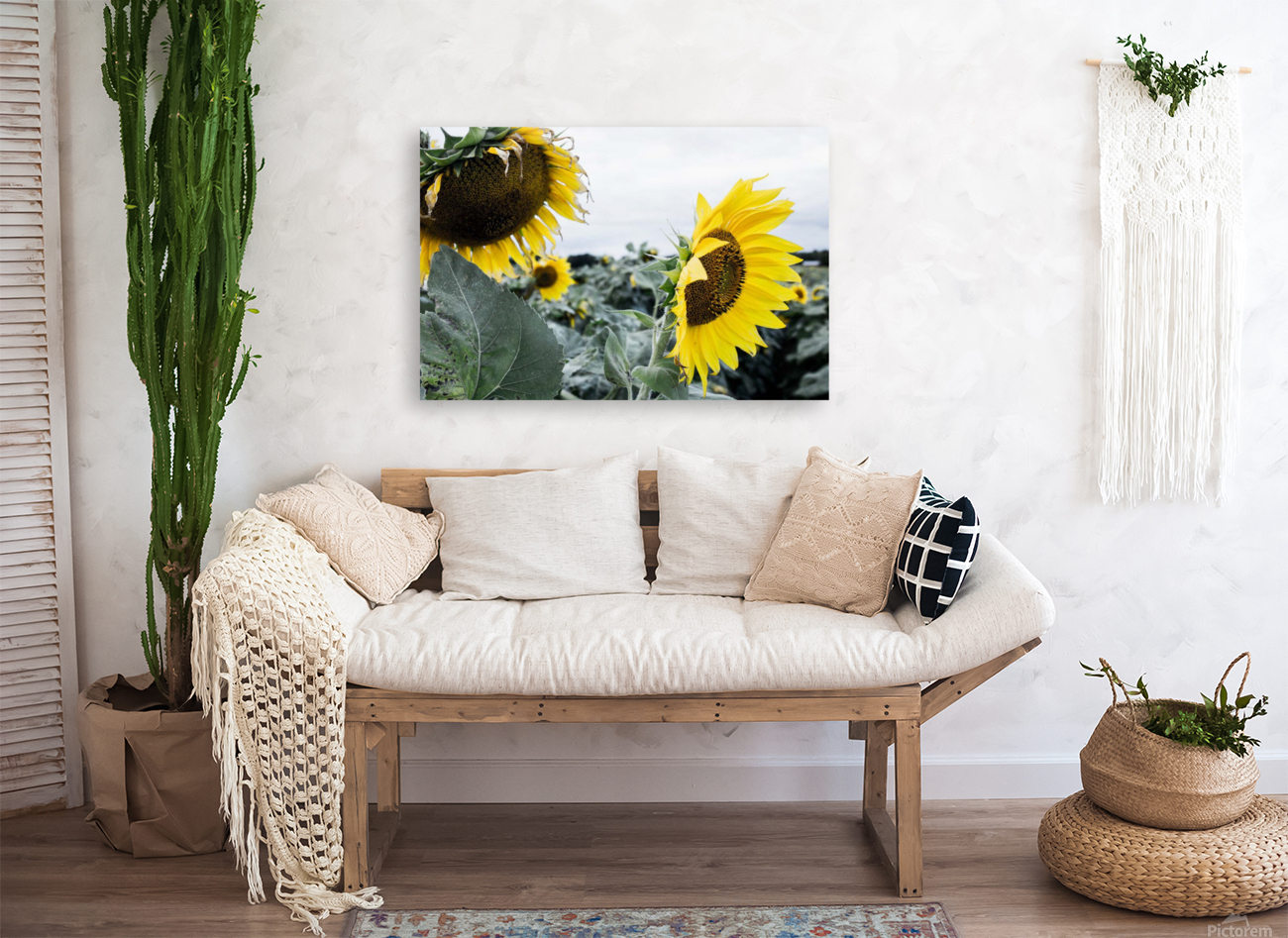 sunflower  Reproduction