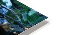 Willow Falls HD Metal print