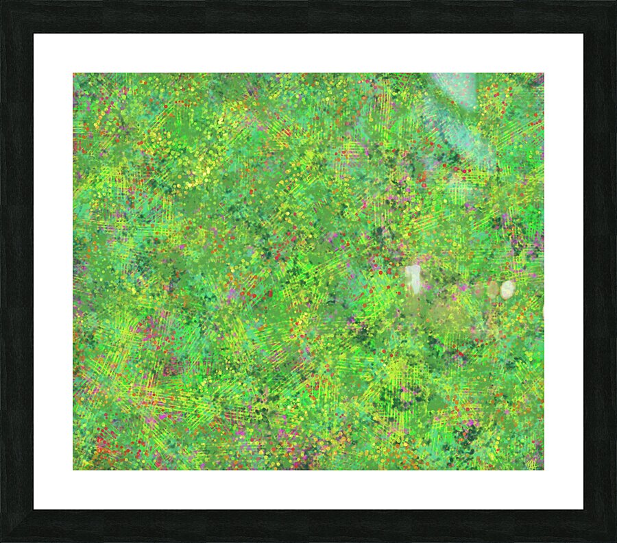Chautauqua Park  Picture Frame print