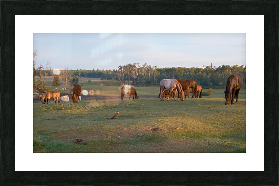 Flying U Ranch Picture Frame print