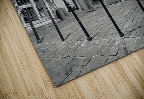 Genoa Hassy in Van puzzle