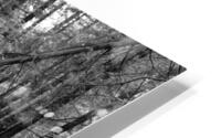 Reflection HD Metal print