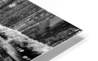 The fence HD Metal print