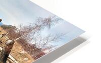 The Wetland HD Metal print