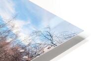 Reflection I HD Metal print
