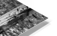 Tree III HD Metal print
