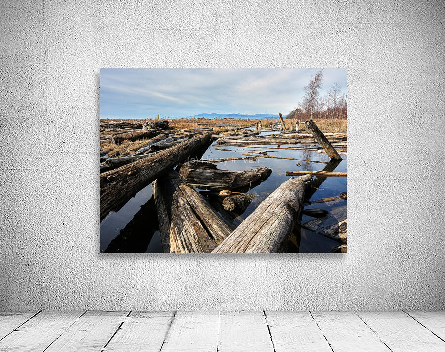 The Wetland Wall Preview