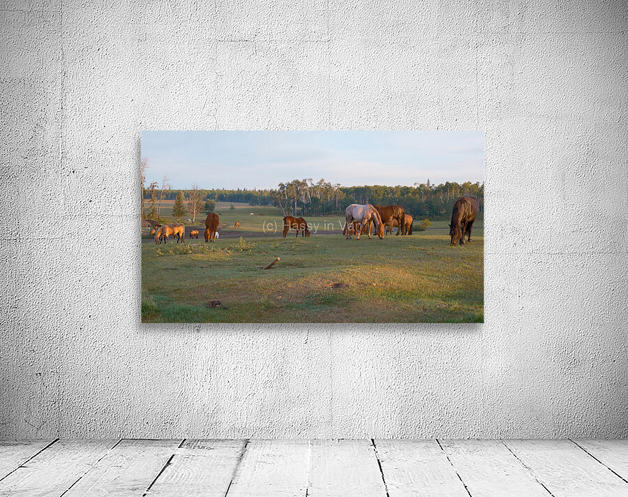 Flying U Ranch Wall Preview