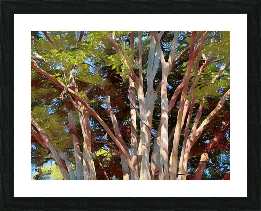 A Garden Bush Picture Frame print