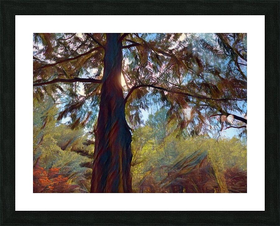 Fighting Sun Light Picture Frame print