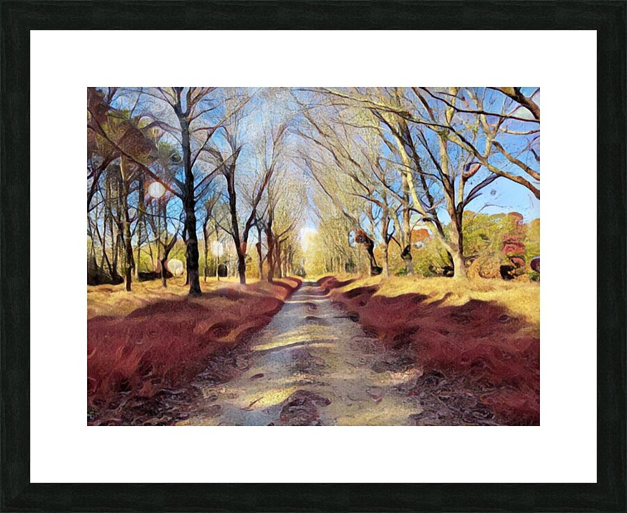 Road From Gibbs Picture Frame print