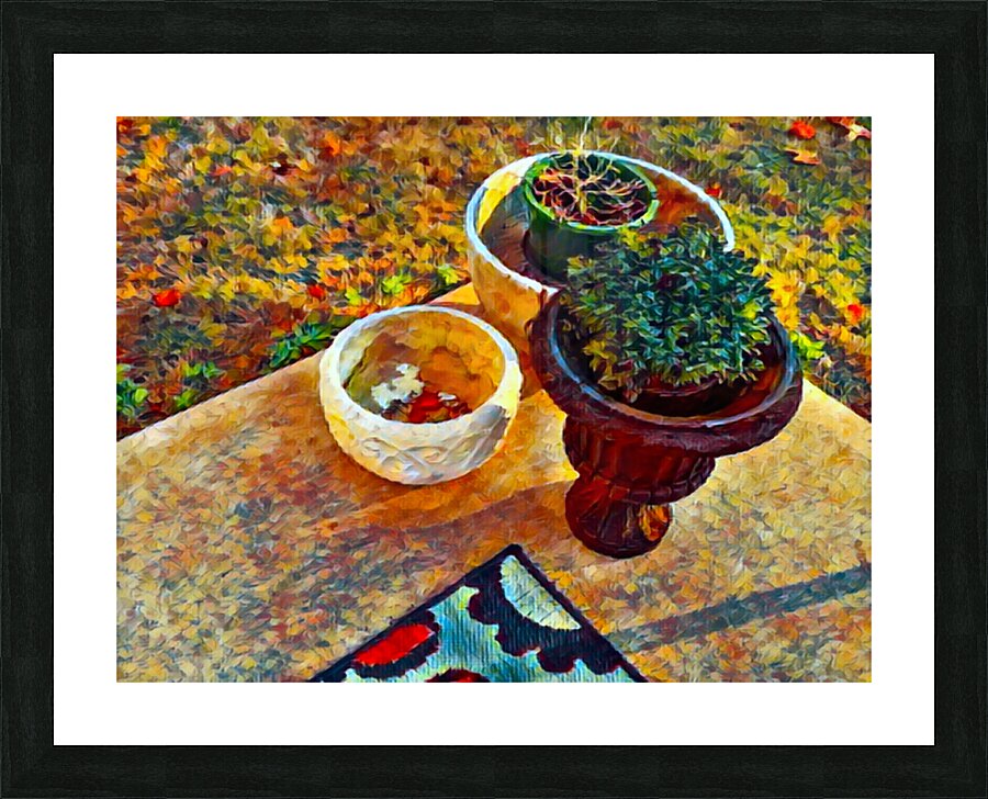 Patio Pots Picture Frame print