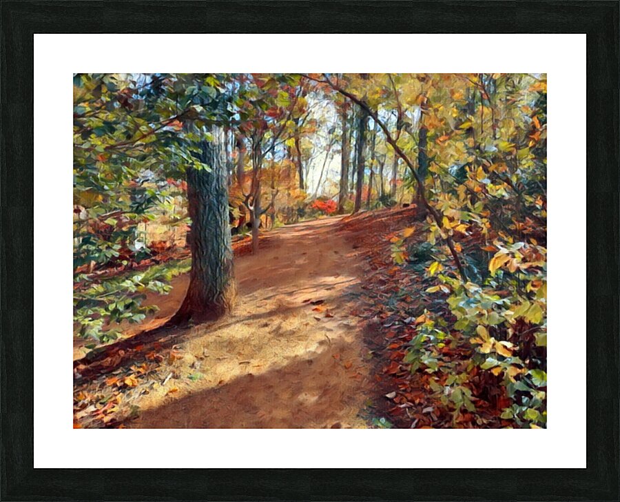Path To Manor House Picture Frame print