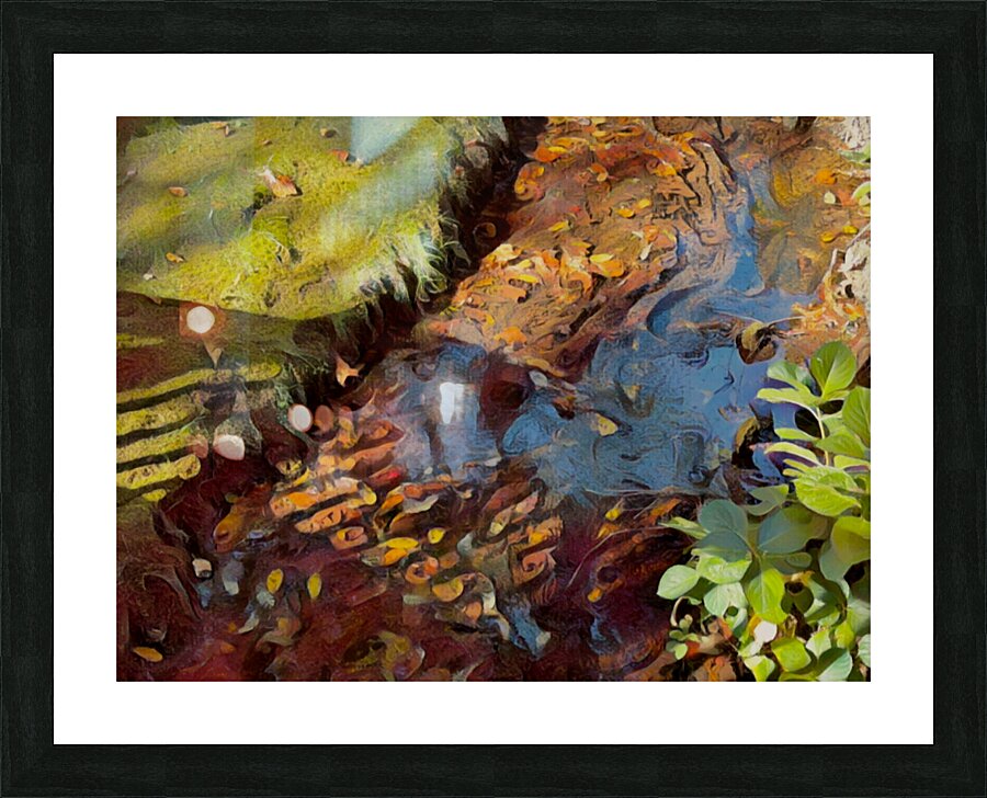 Shadow Across The Stream Picture Frame print