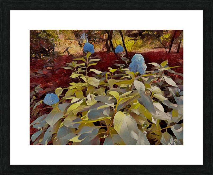 Blue Flowers cc Picture Frame print