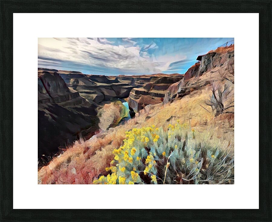 TheCanyon Picture Frame print
