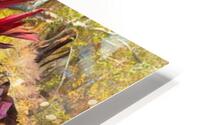 Large Plantern With A View HD Metal print