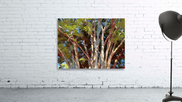 A Garden Bush Wall Preview