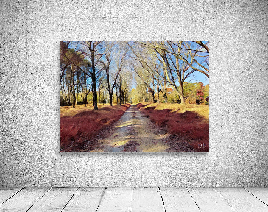 Road From Gibbs Wall Preview