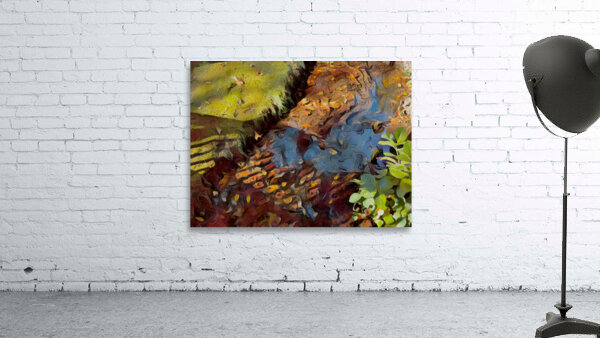 Shadow Across The Stream Wall Preview