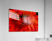 Red Fire Impression acrylique