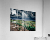 PNW Winery Acrylic Print