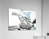 Hood Jewelry  Acrylic Print