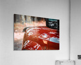 Honda Element Dog Edition  Acrylic Print