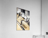 Hood Jewelry Acrylic Print