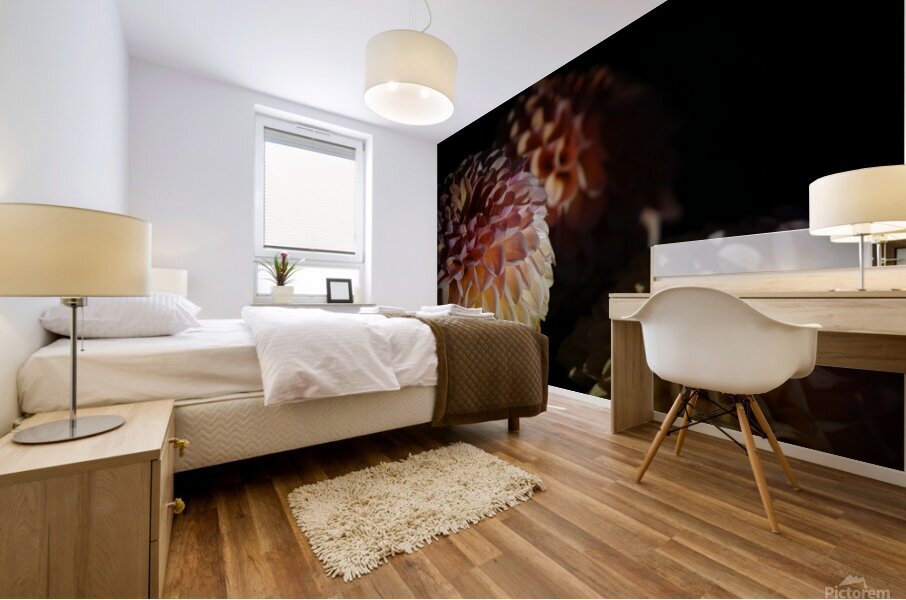 Rainbow Petals  Mural print