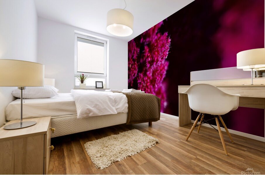 Pink Flow Mural print