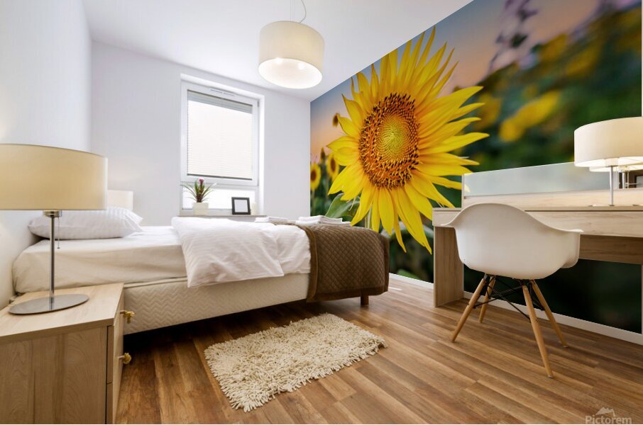 Sunflowers at Sunset Mural print