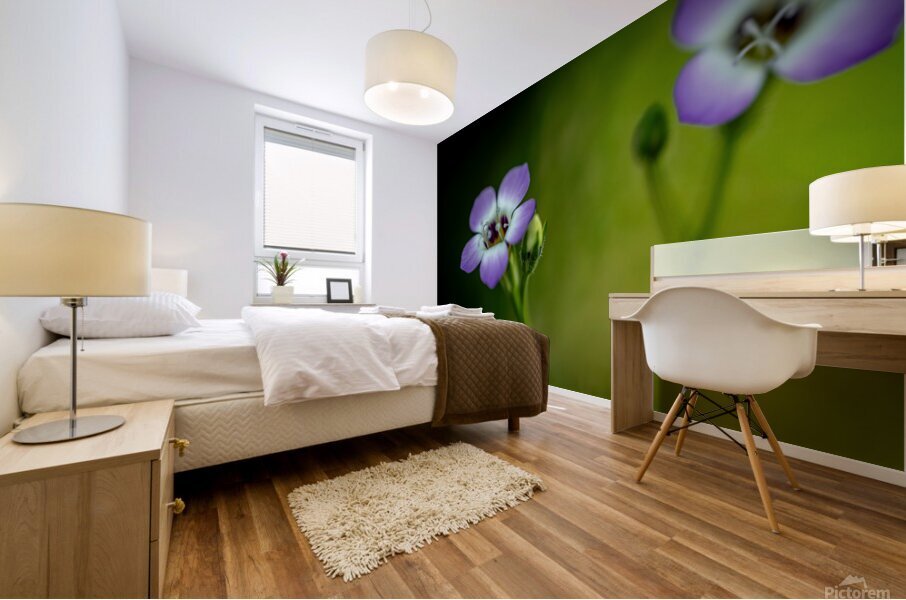Macro Purple Flowers Mural print