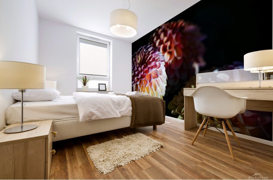 Capow  Mural print